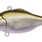 Brilliant Shad