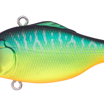 MEGABASS Vibration-X Smatra (Rattle in)