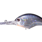 H09 Crystal Blue Shiner