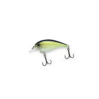#62 Sexy Shad